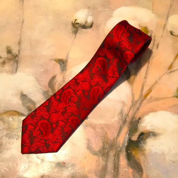 Silk paisley Tie - Picture 1 of 11